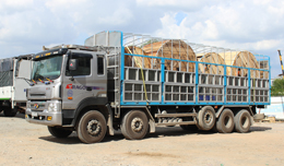 Chành xe chuyển hàng sang Thái Lan